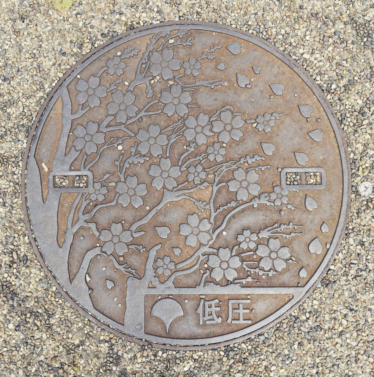上野動物園@東京都