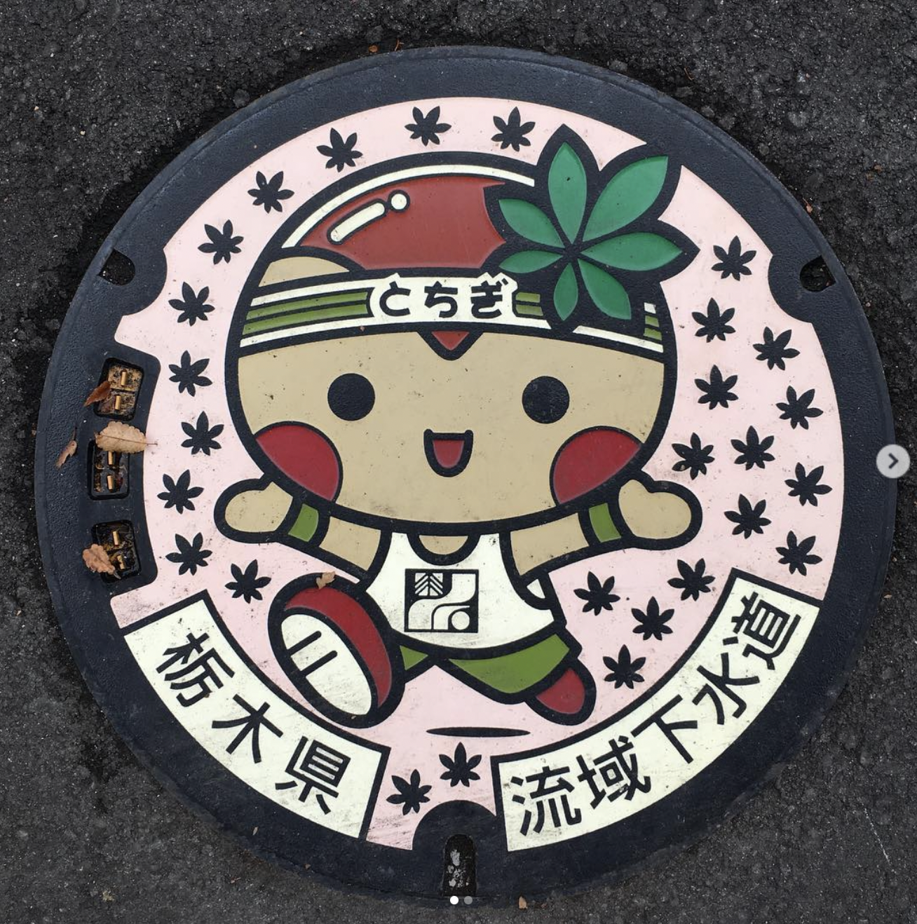 栃丸@栃木縣