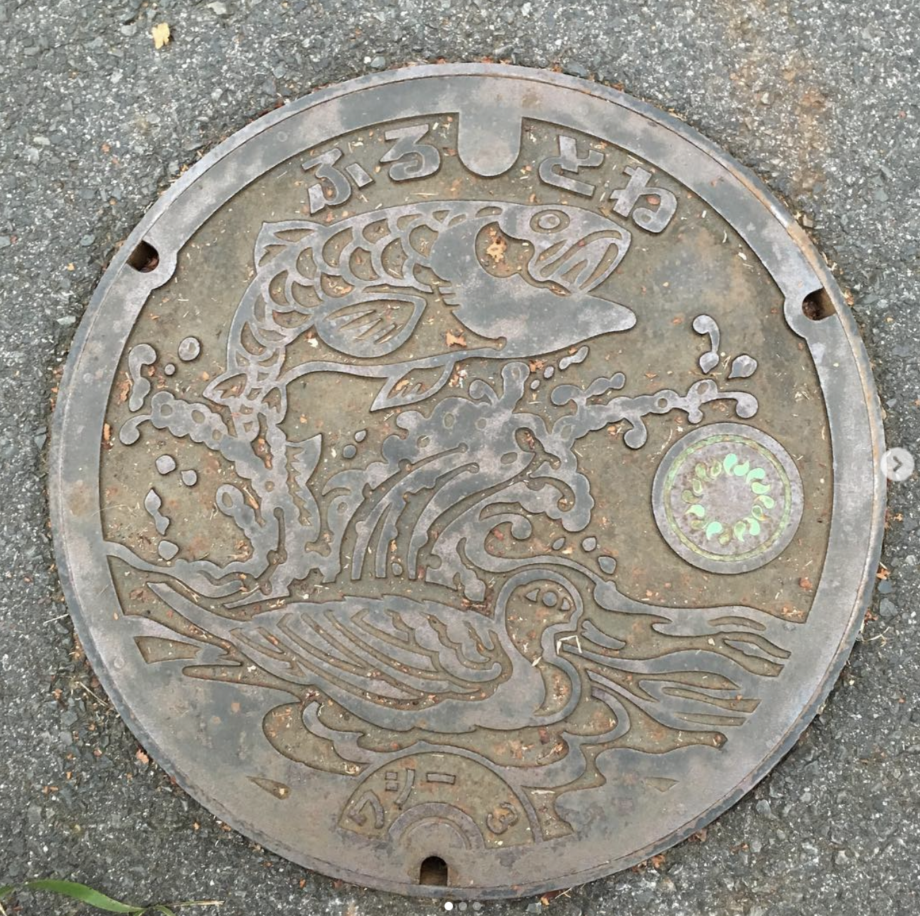 利根川裡的鰱魚@久喜市吉羽町