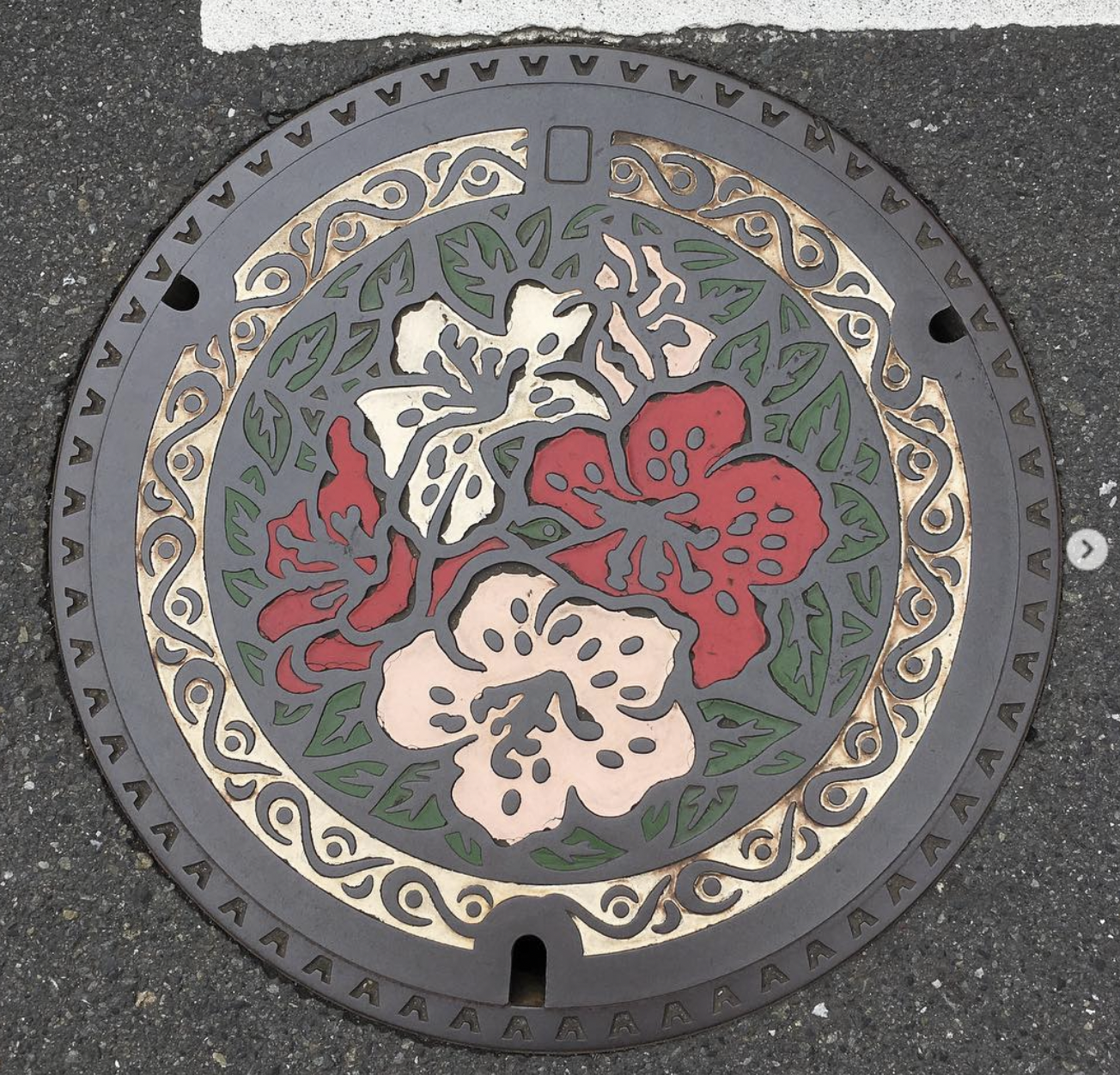 皐月躑躅@東京都國分寺市